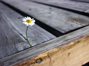 Μια απάντηση στη κρίση
